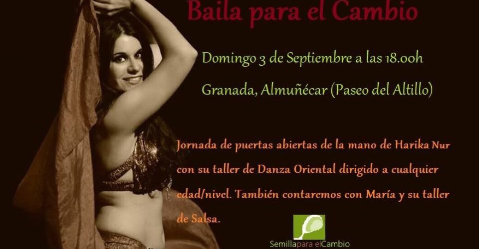 Cartel Baila para el Cambio