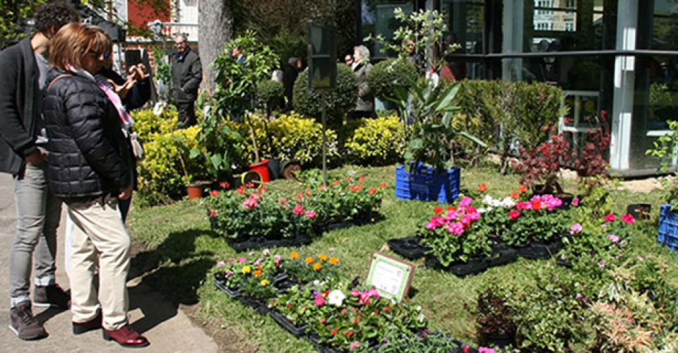 Mercado flores - Gueñes